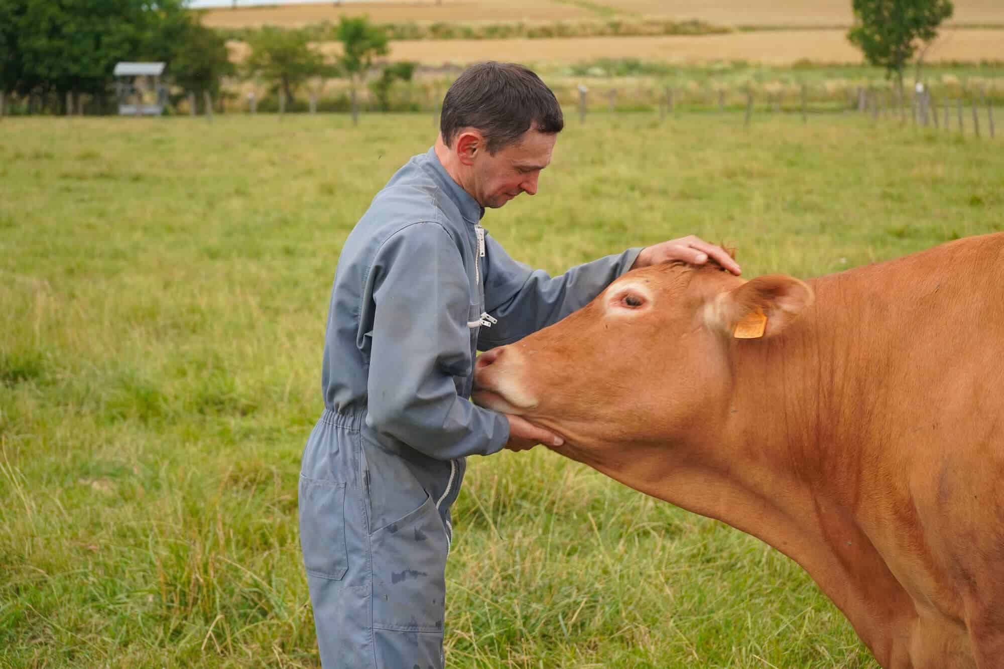 La viande est emballé individuellement sous-vide
